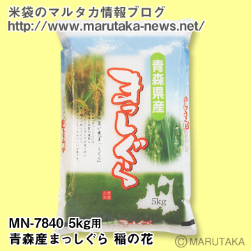 MN-7840 青森産まっしぐら 稲の花